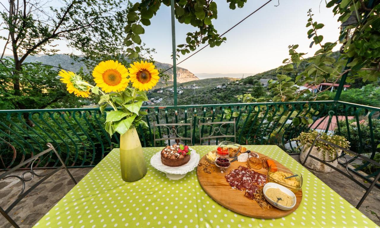 Villa Blanka Žrnovnica Eksteriør bilde
