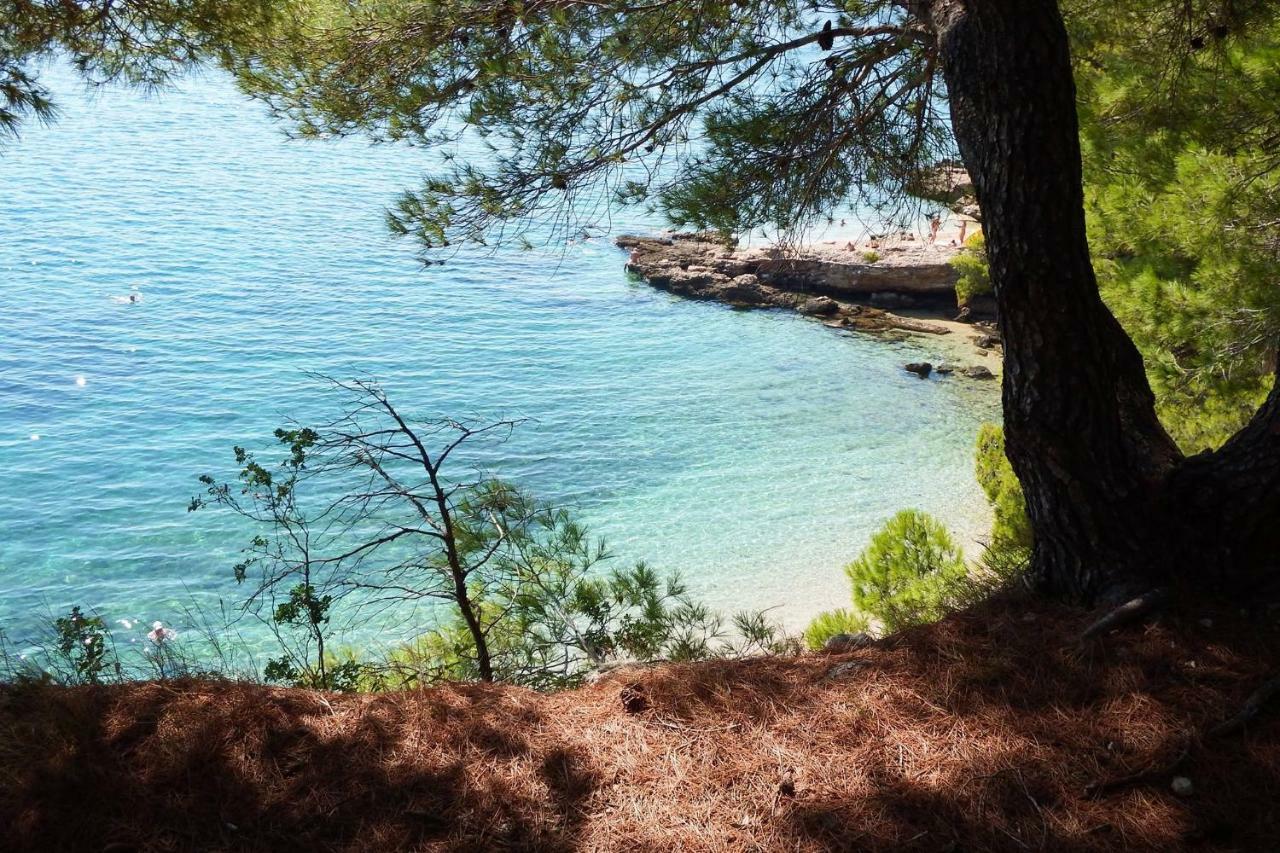 Villa Blanka Žrnovnica Eksteriør bilde